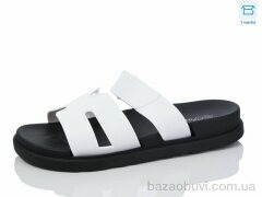 Hongquan X59-2, 380.00, 8, 36-41