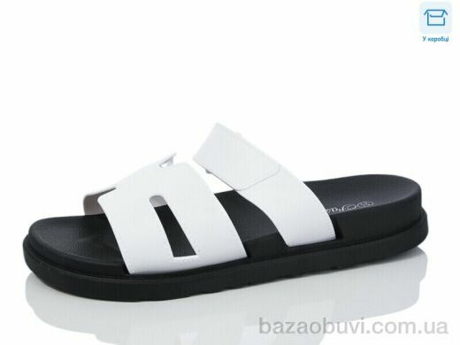 Hongquan X59-2, 380.00, 8, 36-41