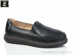 Steel Land 2024-56, 450.00, 8, 36-41