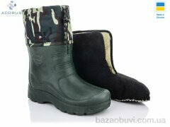 Acorus B12, 255.00, 12, 41-45