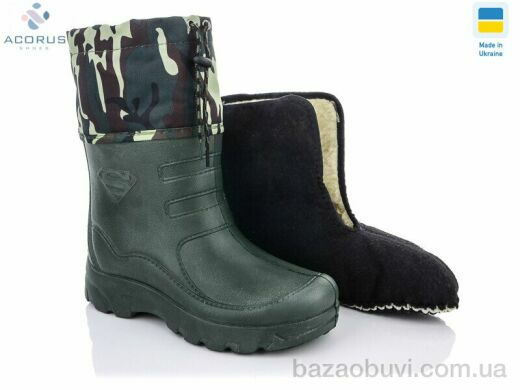 Acorus B12, 255.00, 12, 41-45