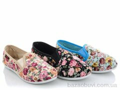 Lion 251-96 mix, 35.00, 24, 30-35