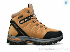 KMB Bry ant D6976-7, 650.00, 8, 36-41