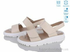 Захар-Gold 037-4, 420.00, 8, 36-41