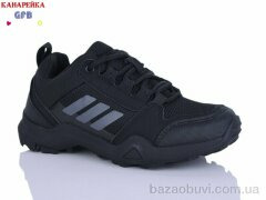 GFB-Канарейка R310-1, 700.00, 8, 33-39