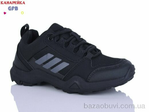 GFB-Канарейка R310-1, 700.00, 8, 33-39