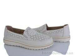 Lion-Lu 2024-51, 350.00, 8, 36-41