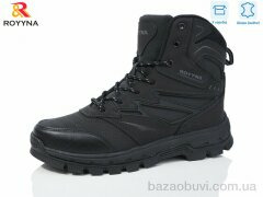 ROYYNA 110D-6, 30.00, 8, 41-46