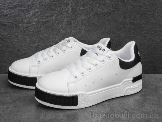 Xifa 038-40, 360.00, 8, 36-41