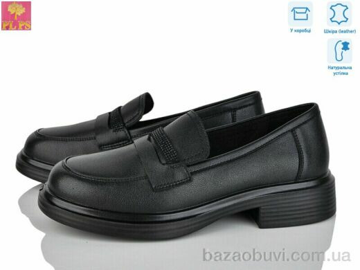 PLPS P05-1, 24.00, 6, 36-40