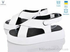 Viscala 23211 б.ш., 550.00, 8, 36-41