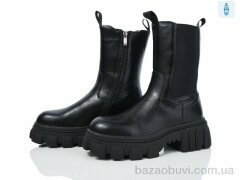 Lion-Lu A77-1259, 650.00, 6, 36-40