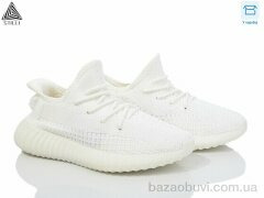 STILLI Group CX203-4, 760.00, 8, 36-41