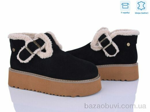 Svit W1, 1100.00, 6, 36-41