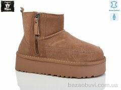 Steel Land W09-G75P brown, 690.00, 6, 36-41