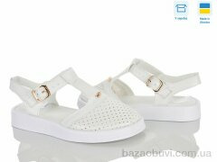 Ailinda 1311-08, 570.00, 6, 36-40