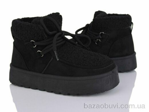 Moli W18-1, 500.00, 8, 36-41