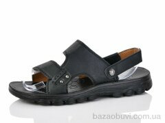 Purlina A811-1, 180.00, 8, 36-41