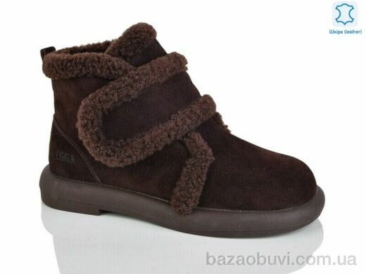 Teetspace-Trasta-Egga WMP1117-33, 33.00, 6, 36-40