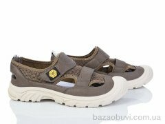 Baolikang Y307 brown, 440.00, 8, 40-45