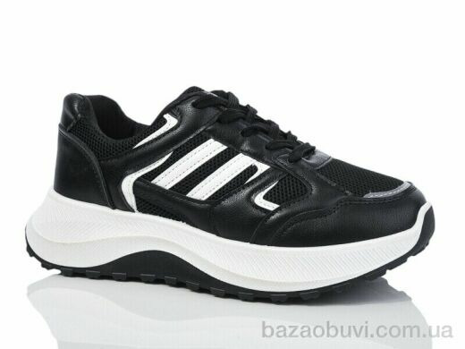 Xifa 979-001, 520.00, 8, 36-41