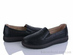 Lion-Lu 2024-52, 350.00, 8, 36-41