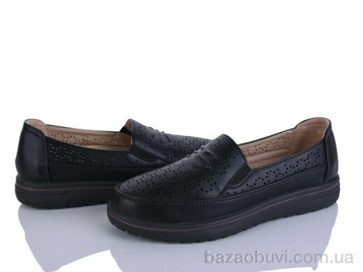 Lion-Lu 2024-52, 350.00, 8, 36-41