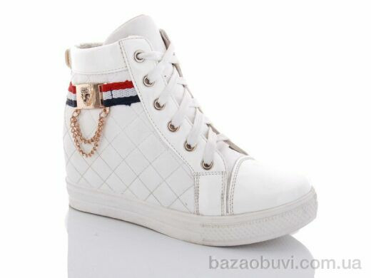 Lion 2976-3, 100.00, 8, 36-41