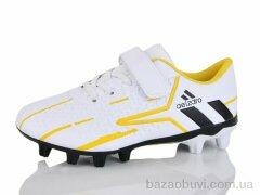 ASHIGULI C09-1, 380.00, 12, 31-36