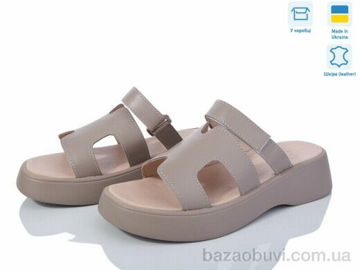 Ailinda 883-26, 570.00, 6, 36-40