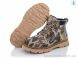 Violeta Y160(B8090-1) army green-beige, 550.00, 6, 32-37