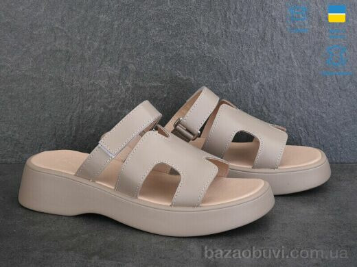 Ailinda 883-26, 570.00, 6, 36-40