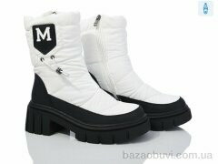 Lion A73-1276-2, 750.00, 6, 36-40