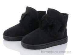 Lion CR2317, 300.00, 8, 36-41