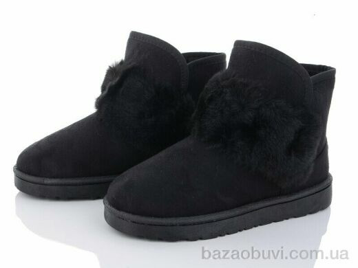 Lion CR2317, 300.00, 8, 36-41