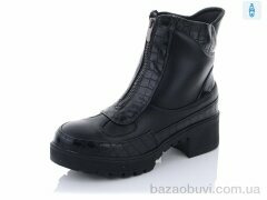 Lion 2038, 250.00, 8, 36-41