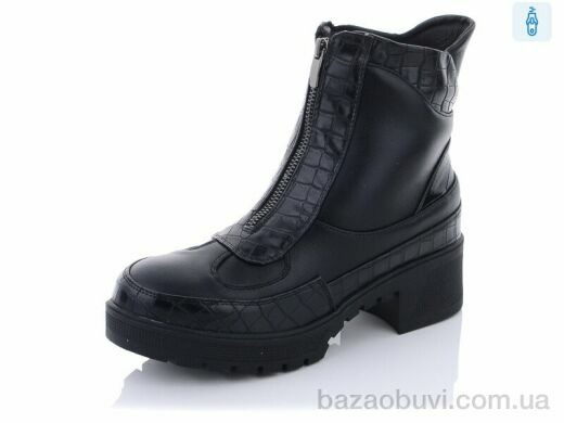 Lion 2038, 250.00, 8, 36-41