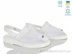 Ailinda 1409-80, 750.00, 6, 36-40