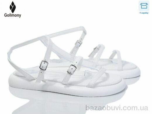 Gollmony 2025-81-2, 480.00, 8, 36-41