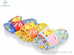 Acorus 524 mix, 100.00, 10, 24-29