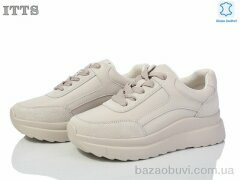 ITTS MT51-6, 20.00, 6, 36-41