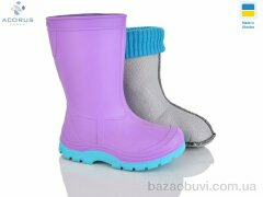 Acorus Асоль фіолет, 345.00, 6, 24-35