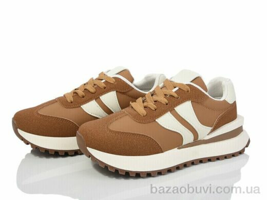 Захар-Gold T0205-1, 350.00, 8, 36-41