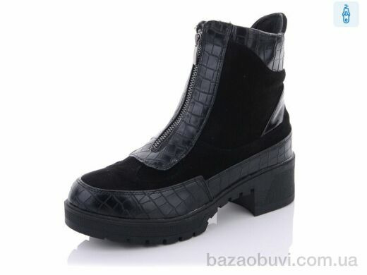 Lion 2038-1, 250.00, 8, 36-41