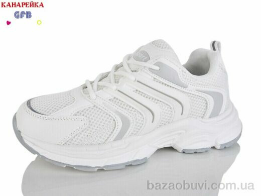 GFB-Канарейка Q570-4, 650.00, 8, 36-41