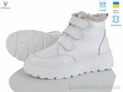 Viscala 27968 б.ш. L19б, 960.00, 6, 36-40