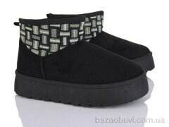 Moli W25-1, 500.00, 8, 36-41