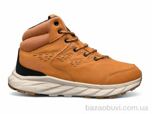 Pet 951-8, 650.00, 8, 41-46