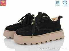 PLPS 2805-1, 27.00, 6, 36-40