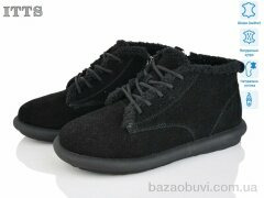 ITTS DX12-1, 24.00, 6, 36-41